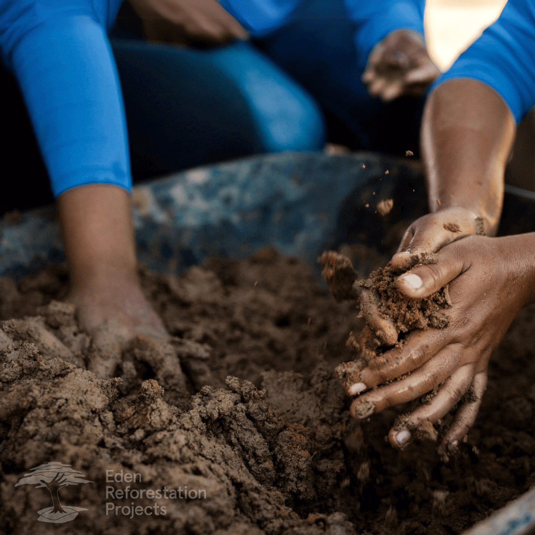 Planting Trees Saves Lives