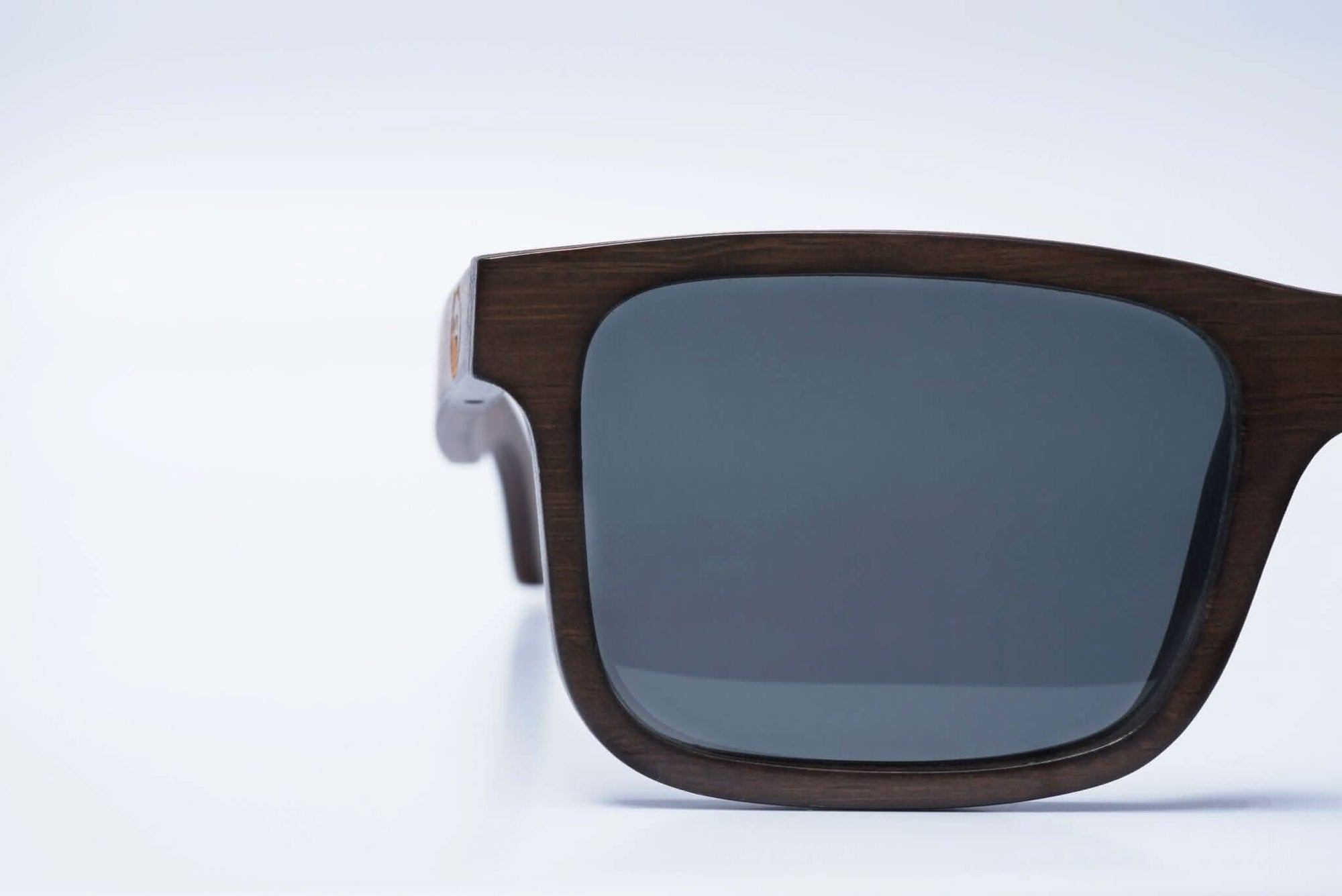 Panda CARVER Bamboo Wayfarer Sunglasses (Brown) Lens Closeup